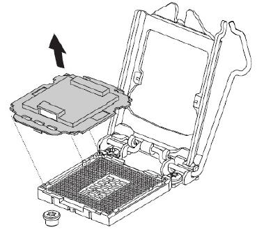 Rimuovere la copertura protettiva.