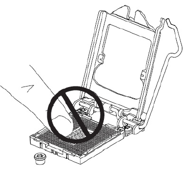 Non toccare i contatti nel socket.