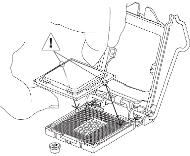 Afferrare il processore con il pollice e l’indice.