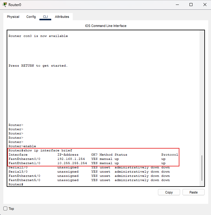 show ip interface brief